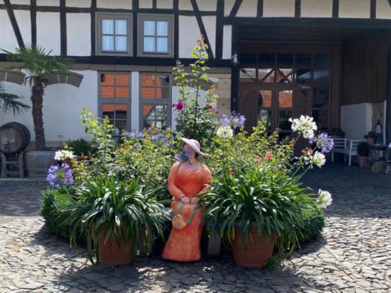 Angebot - Fotoansicht